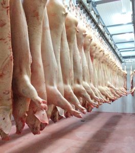 Producătorii de carne de porc și pasăre spun că sunt în pragul falimentului