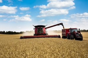 RDF poate prelua producătorul de cereale Dachim